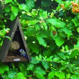 karmnik-dla-ptakow-fb238-esschert-glebokosc-produktu-18-cm