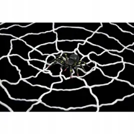 pajecza-siec-xl-z-pajakiem