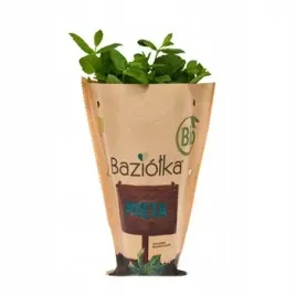 bio-mieta-doniczka-polska-1szt-baziolka
