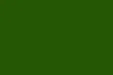 lakier-amazone-zielony-spray-400ml