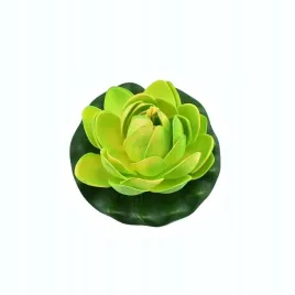 deep-aqua-lilia-do-oczka-wodnego-zielona-10cm