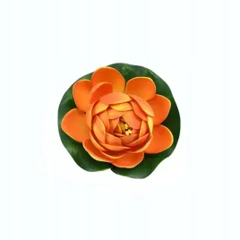 deep-aqua-lilia-do-oczka-wodnego-pomaranczowa-10cm