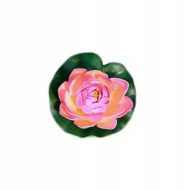 deep-aqua-lilia-do-oczka-wodnego-lososiowa-10cm