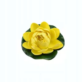 deep-aqua-lilia-do-oczka-wodnego-zolta-10cm