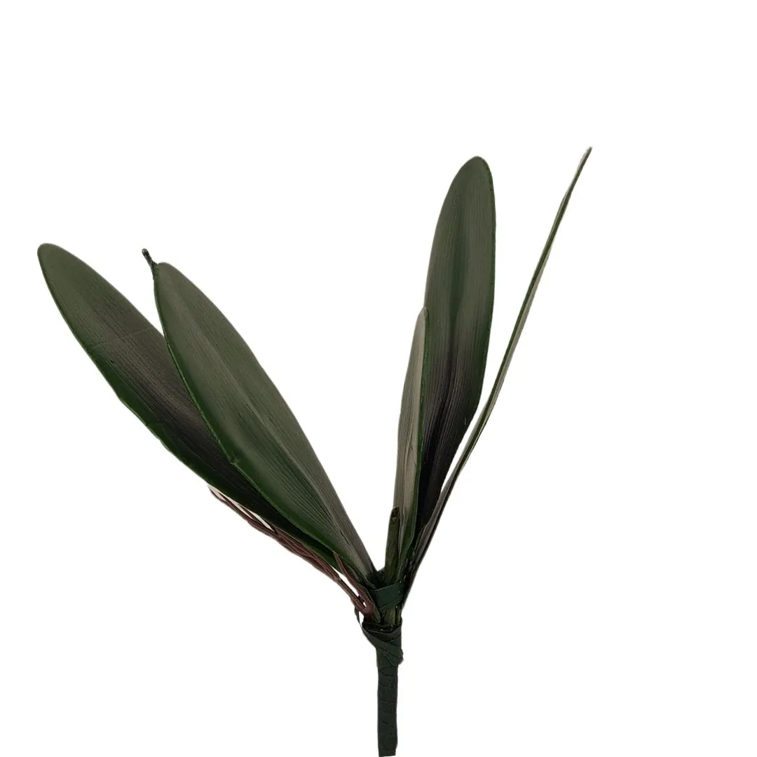 lisc-do-storczyka-stan-nowy