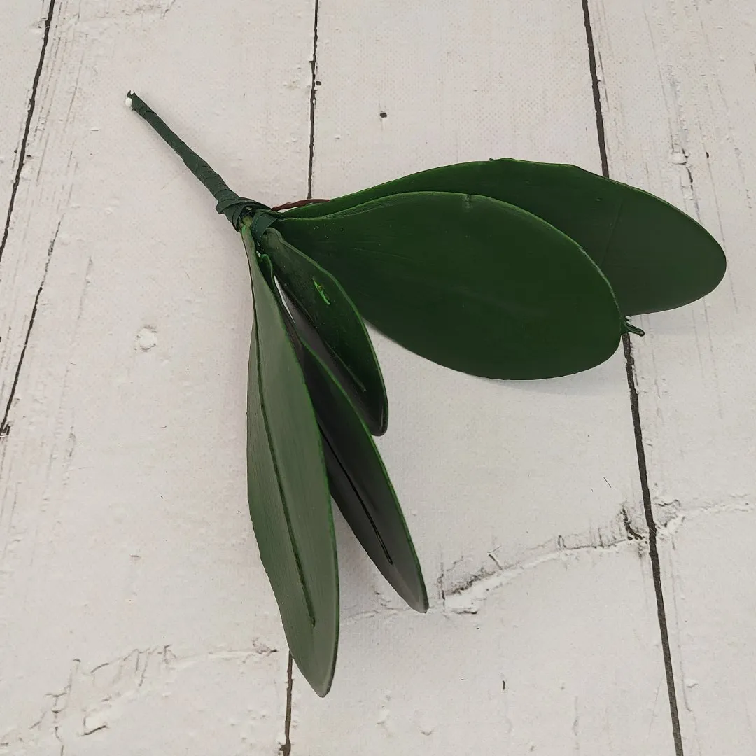 lisc-do-storczyka-stan-nowy