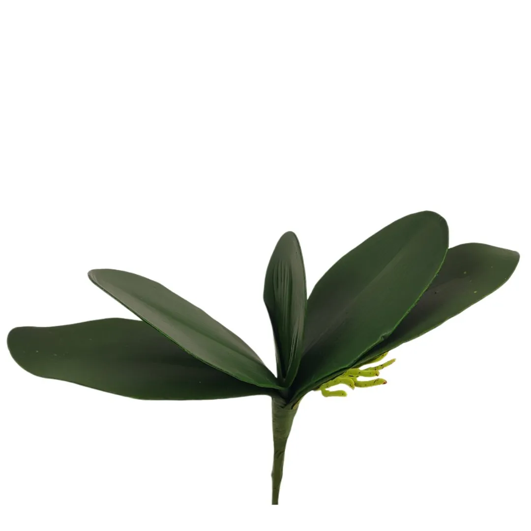 lisc-do-storczyka-stan-nowy