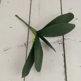 lisc-do-storczyka-stan-nowy