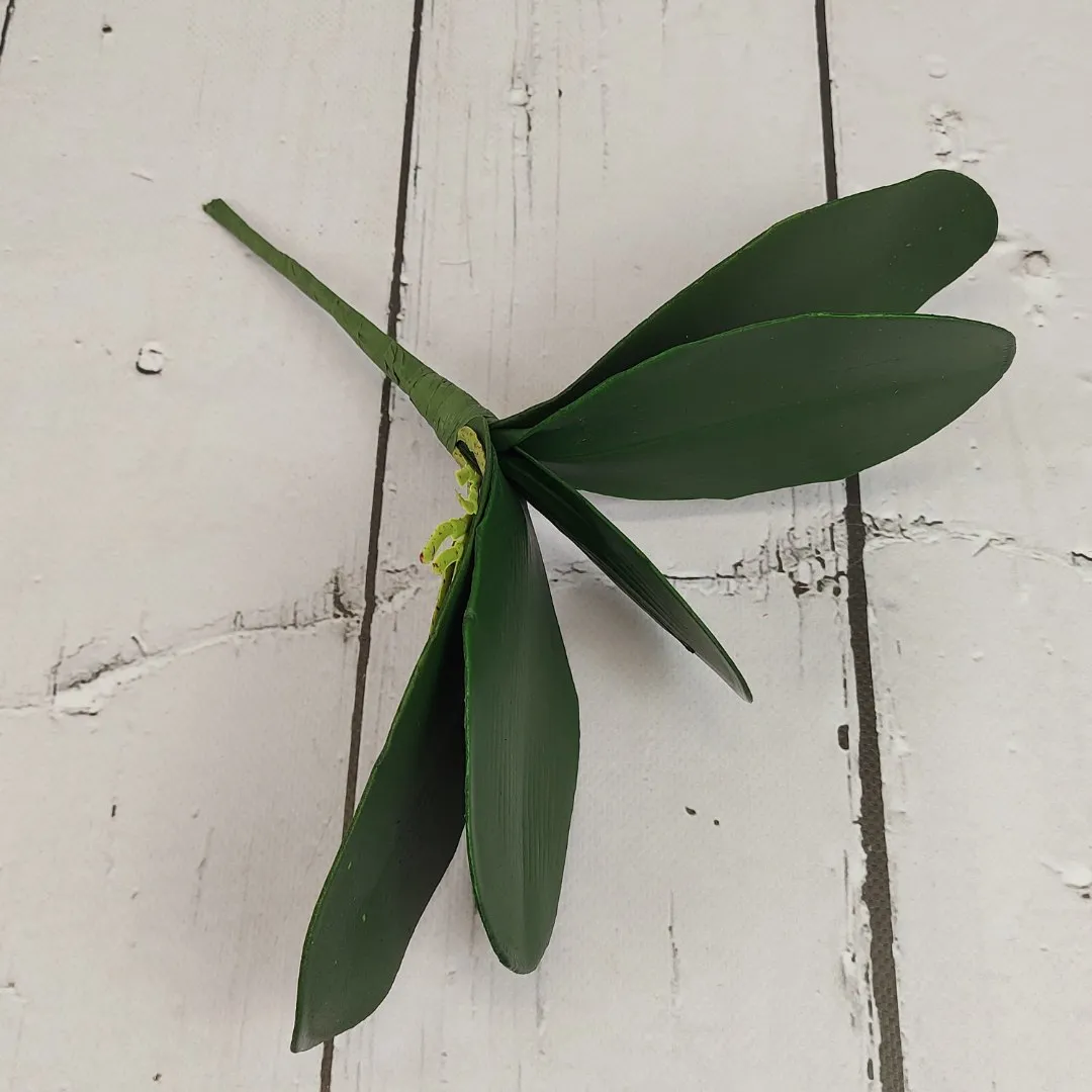 lisc-do-storczyka-stan-nowy