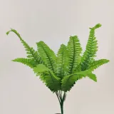 bukiet-paprotka-x-9-stan-nowy