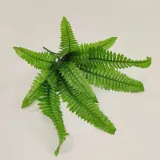 bukiet-paprotka-x-9-rodzaj-liscie