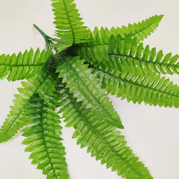 bukiet-paprotka-x-9-kod-producenta-hortens