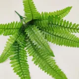 bukiet-paprotka-x-9-kod-producenta-hortens