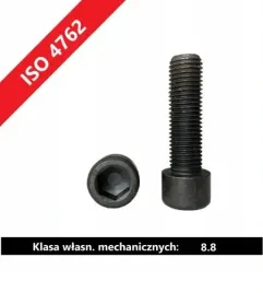 sr-imbusowa-pgw-m-6x22-8-8-iso-4762-10-szt