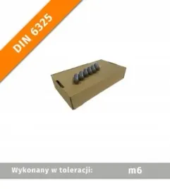 kolek-walcowy-din-6325-5x18-m6-250szt