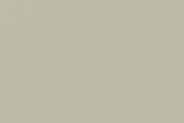 lakier-renault-seria-319-bialy-1-l