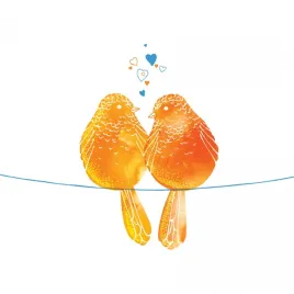 karnet-swarovski-kwadrat-cl2602-pomaranczowe-ptaszki