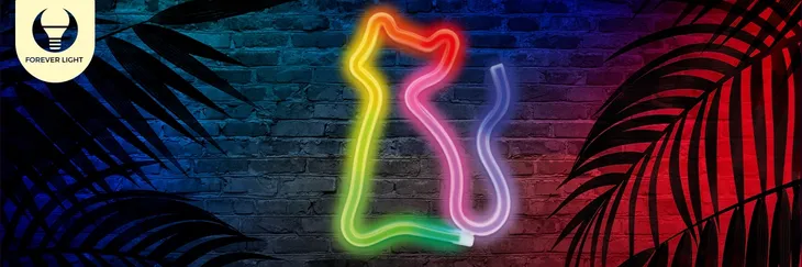 neon-led-rgb-kot-flrn03-pilot-forever-light-rodzaj-led