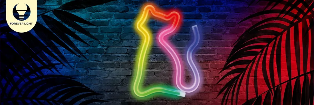 neon-led-rgb-kot-flrn03-pilot-forever-light
