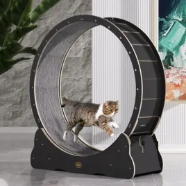 canadian-cat-or-bieznia-dla-kota-l-or-black-edition-or-czarna