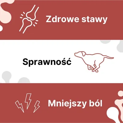 arthrohard-na-stawy-dla-psa-500ml