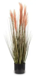 roslina-dekoracyjna