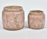 rose-oslonka-prosta-1aa