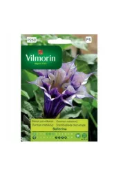 bielun-surmikwiat-ballerina-5z-vilmorin