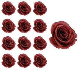 roza-mercedeska-glowka-bordowa-12-sztuk