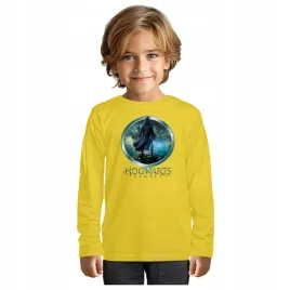 bluzka-dziecieca-koszulka-t-shirt-dlugi-rekaw-hogwarts-legacy-110-122