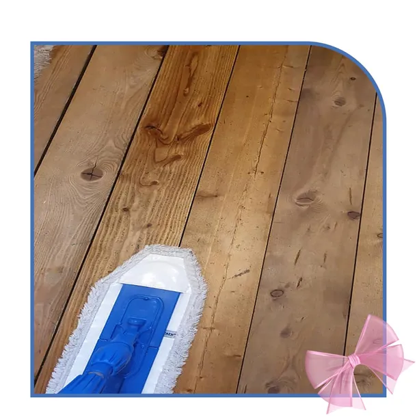 raypath-poduszka-podlogowa-bezowa-wklad-do-mopa-stopa-do-paneli-podloga-rodzaj-mop