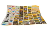 mapa-mtb-sudety-1-60-000-stan-opakowania-oryginalne