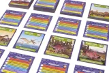 gra-edukacyjna-dinozaury-brainbox-rebel-minimalna-liczba-graczy-1