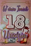 karnet-st422-b6-koperta-jablon-material-papier