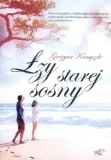 lzy-starej-sosny-stan-nowy