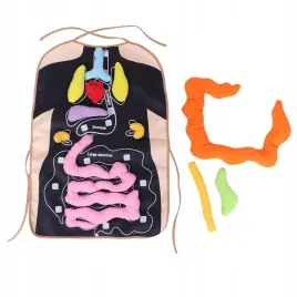 lalka-do-nauki-anatomii-zabawka-edukacyjna-ludzkiego-fizjologiczne
