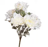 peonia-bukiet-kremowy
