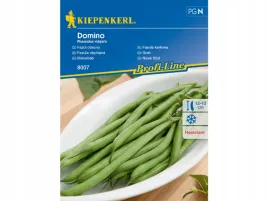 fasola-zielona-karlowa-domino-odporna-na-choroby-nasiona