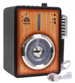 glosnik-prznosny-wzmacniacz-z-funkcja-bluetooth-mikrofon