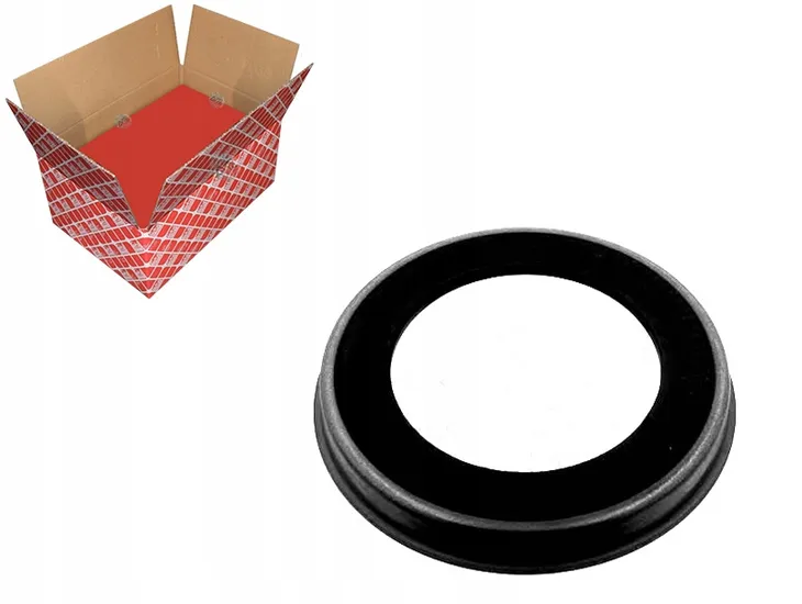 pierscien-abs-ford-focus-04-tyl-febi-bilstein-f32395-waga-z-opakowaniem-0-kg