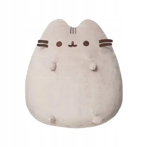 pusheen-siedzacy-soft-plec-chlopcy-dziewczynki