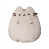 pusheen-siedzacy-soft-plec-chlopcy-dziewczynki