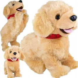 piesek-interaktywny-figo-reagujacy-na-komendy-polecenia-po-polsku-labrador