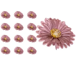 gerbera-glowka-cappuccino-x12