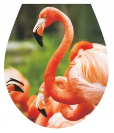 naklejka-3d-na-deske-sedesowa-klozetowa-flamingi-ptaki-trojwymiarowa-do-wc