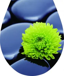 naklejka-3d-na-deske-sedesowa-klozetowa-czarny-kamien-trojwymiarowa-zielen