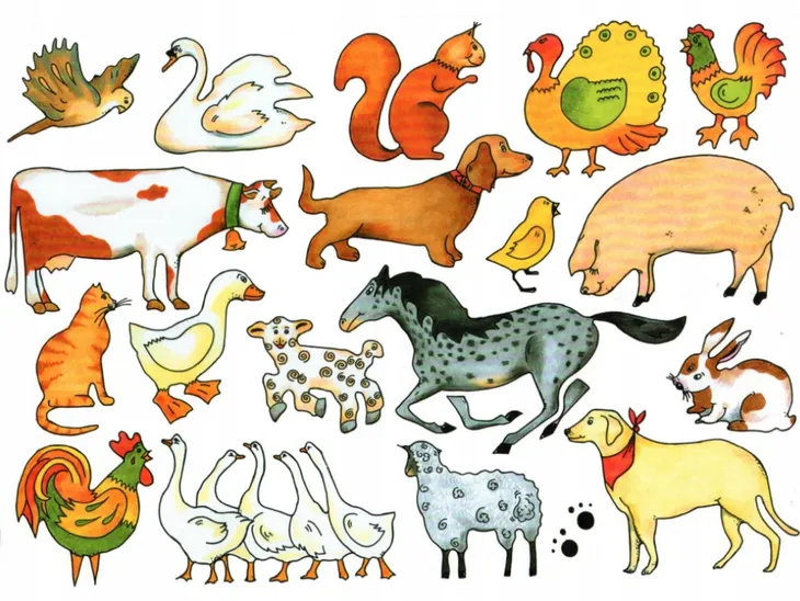 szablon-farma-waga-z-opakowaniem-0-045-kg-stan-nowy