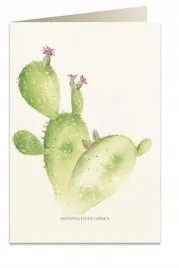 karnet-b6-koperta-5987-opuncja