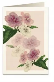 karnet-b6-koperta-5969-brunfelsja