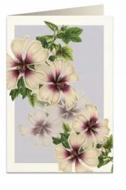 karnet-b6-koperta-5968-sluzowka-krzewiasta